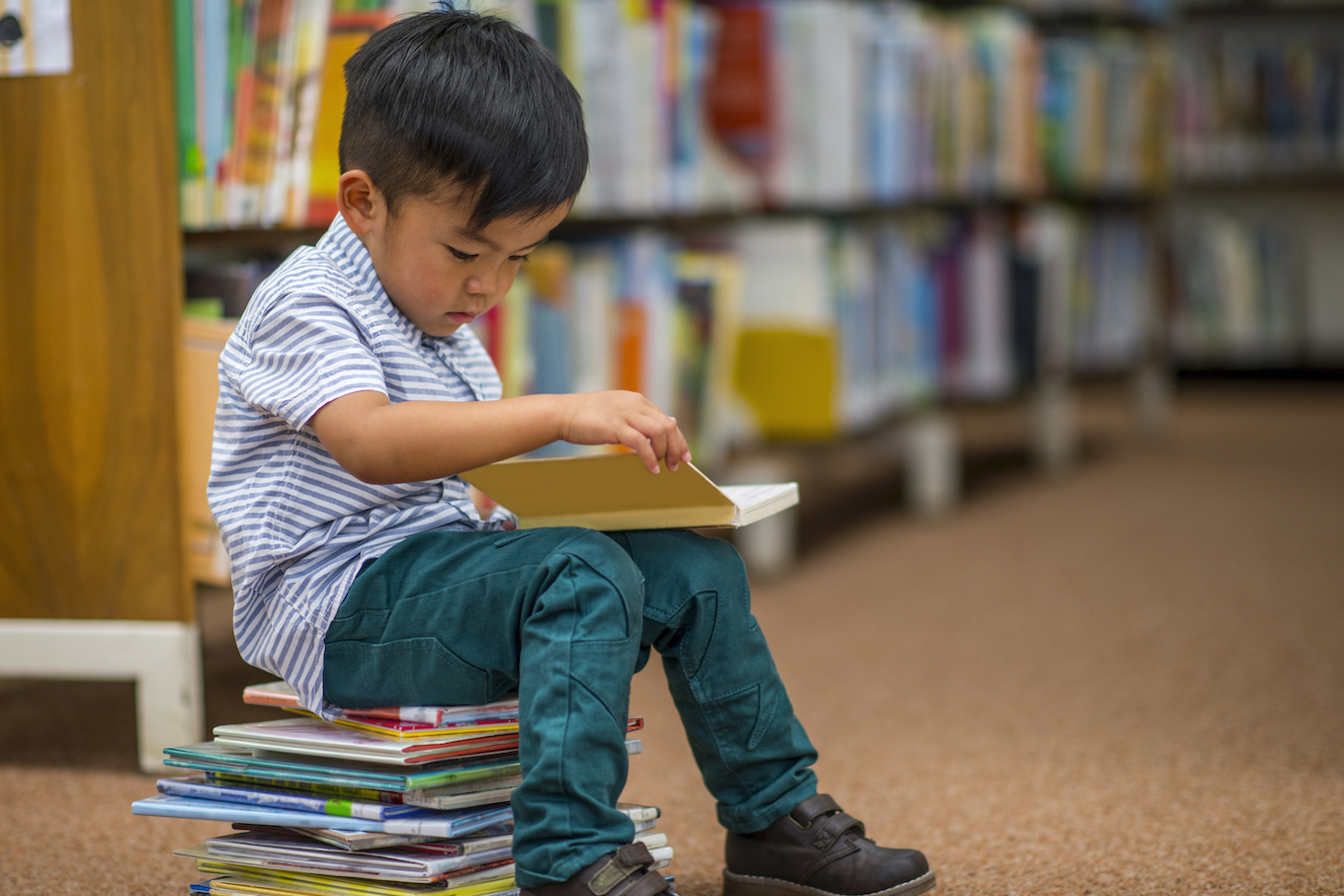 Little Boy Looking at Books
