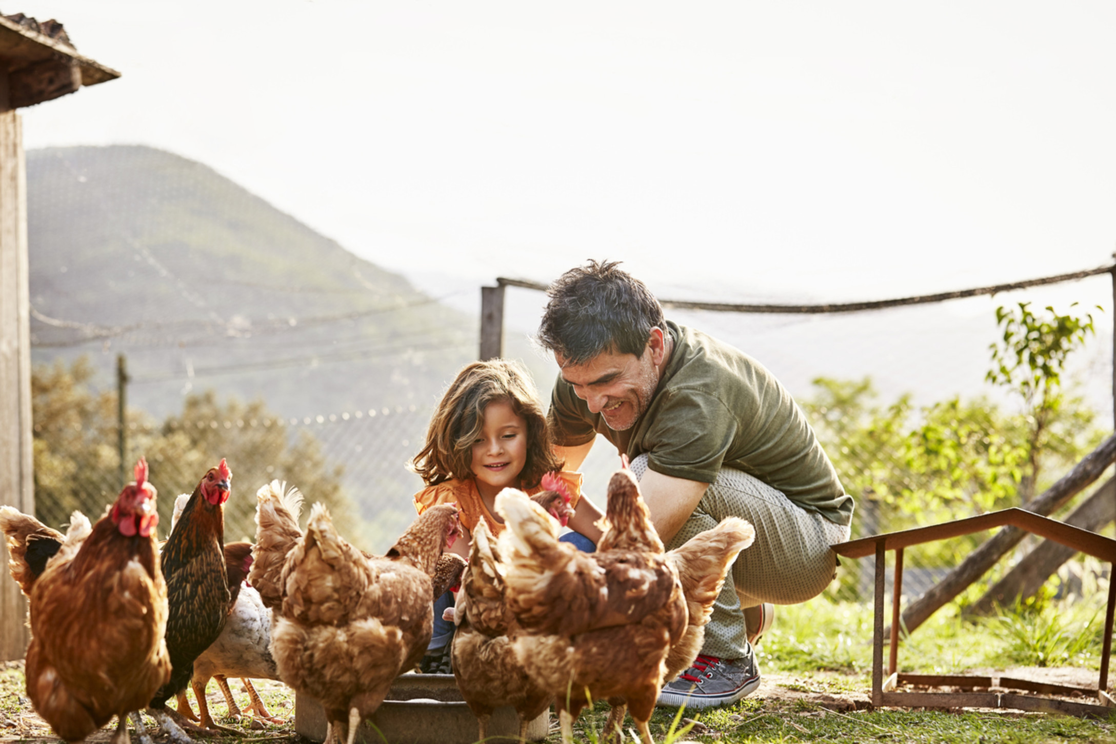 iStock-658912240.jpg