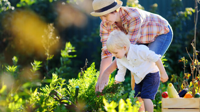 iStock-675244756