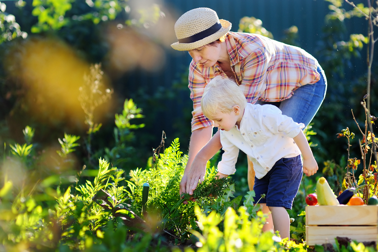 iStock-675244756