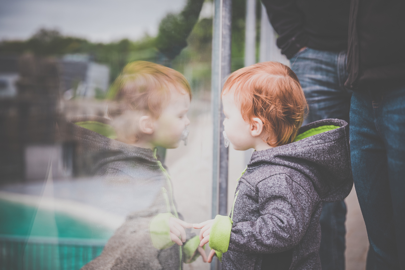 Cute Little Boy Looking Through Glass at Zoo or Aquarium