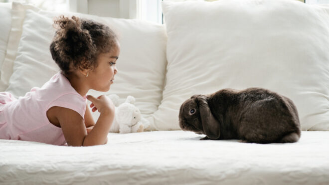 girl-looking-bunny-couch