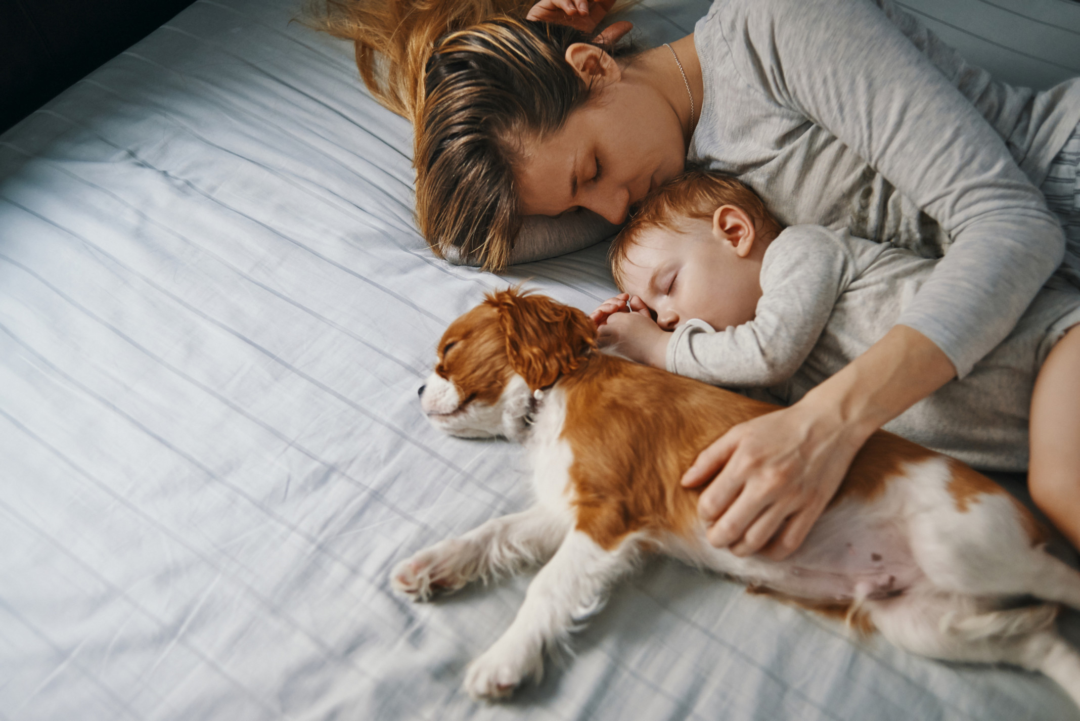 iStock-937289948-1.jpg