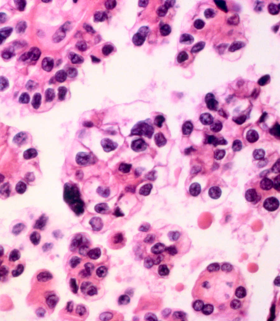 img-of-media-slide-309542.jpg