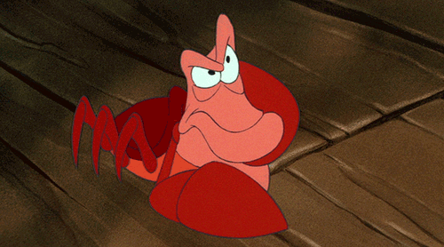img-of-media-slide-rv-15249-104673.gif