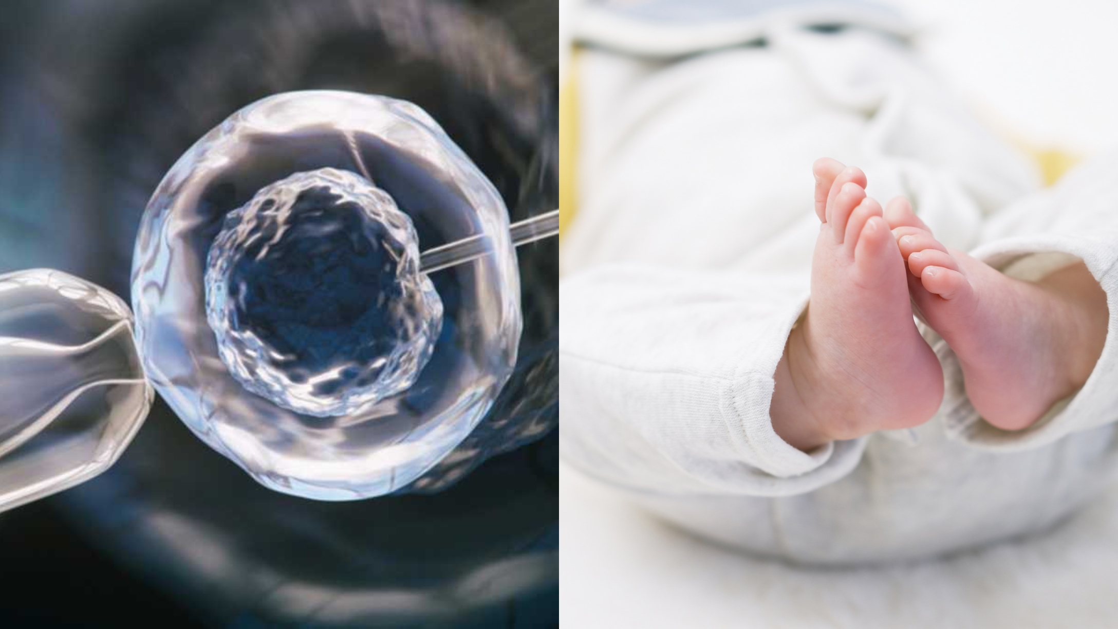 ivf baby