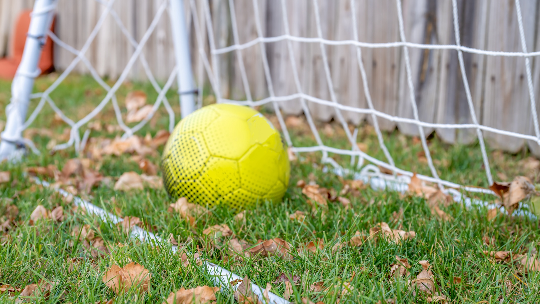 kicking ball fence