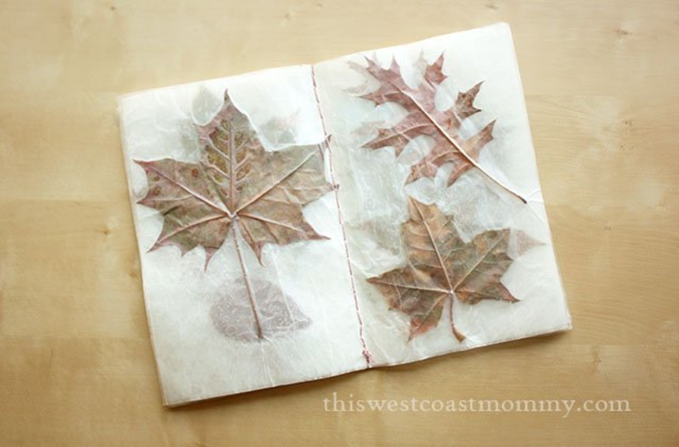 leaf-book-1.jpg
