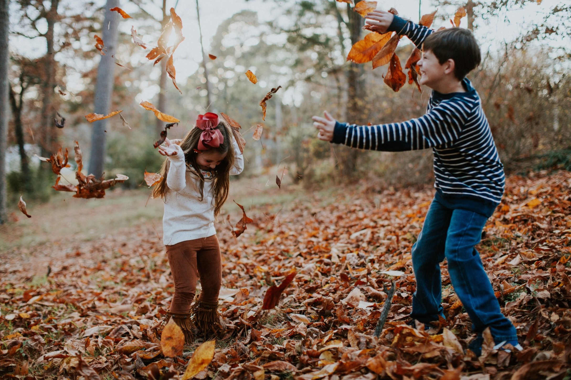 Fall-Leaves