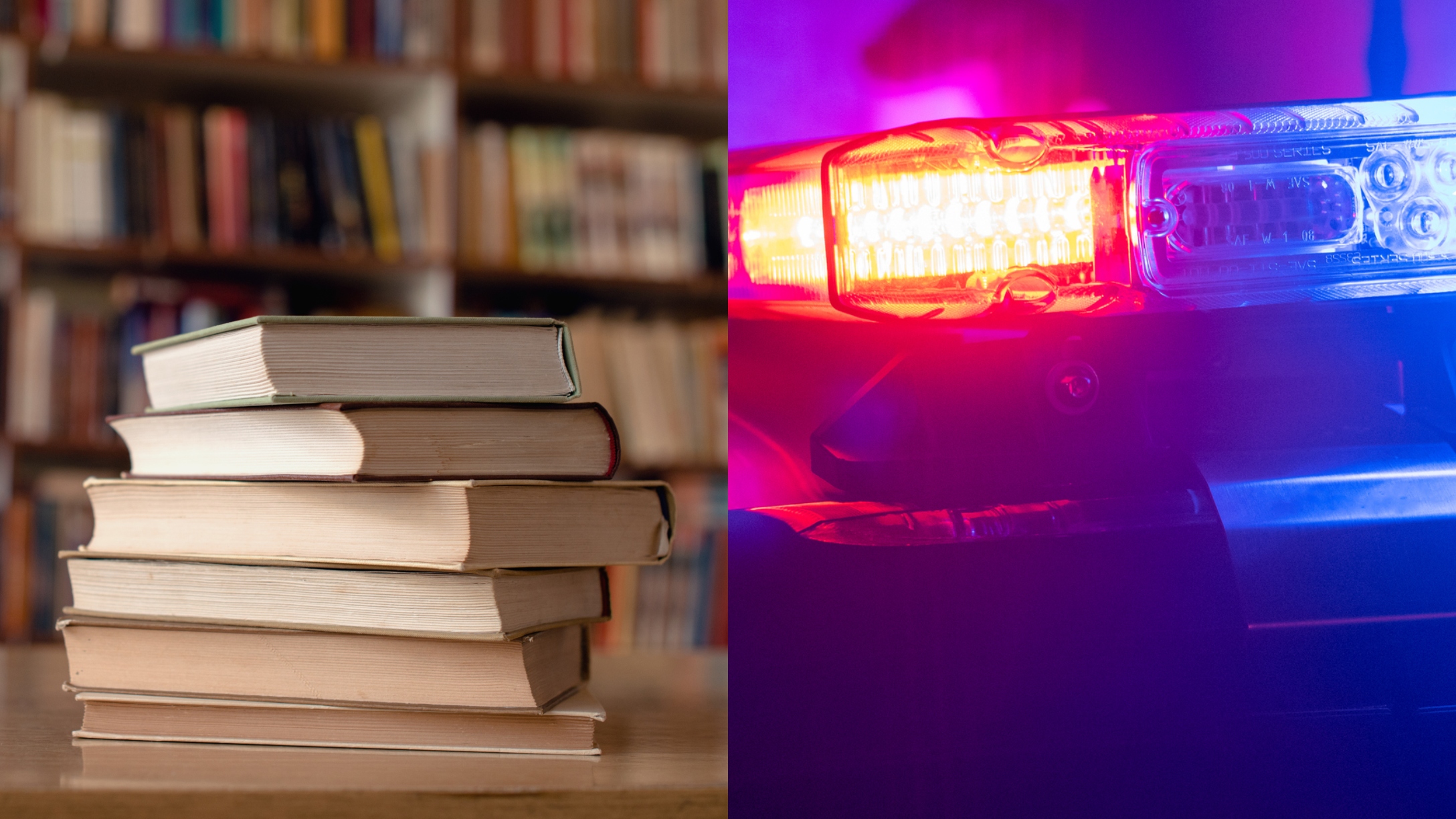 library-books-arrest