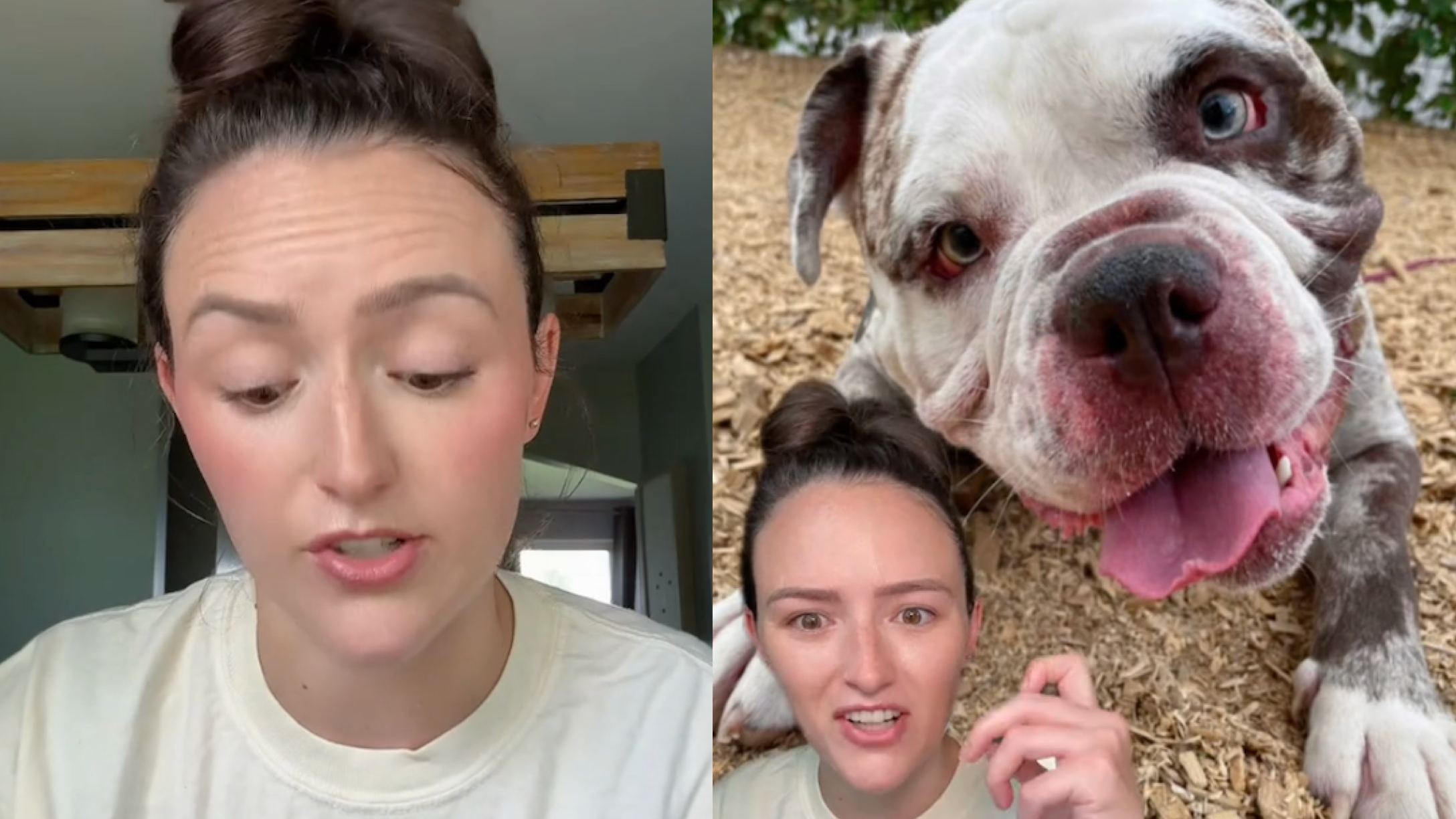 Toddler mom Madison Barbosa talking about her dogs on TikTok