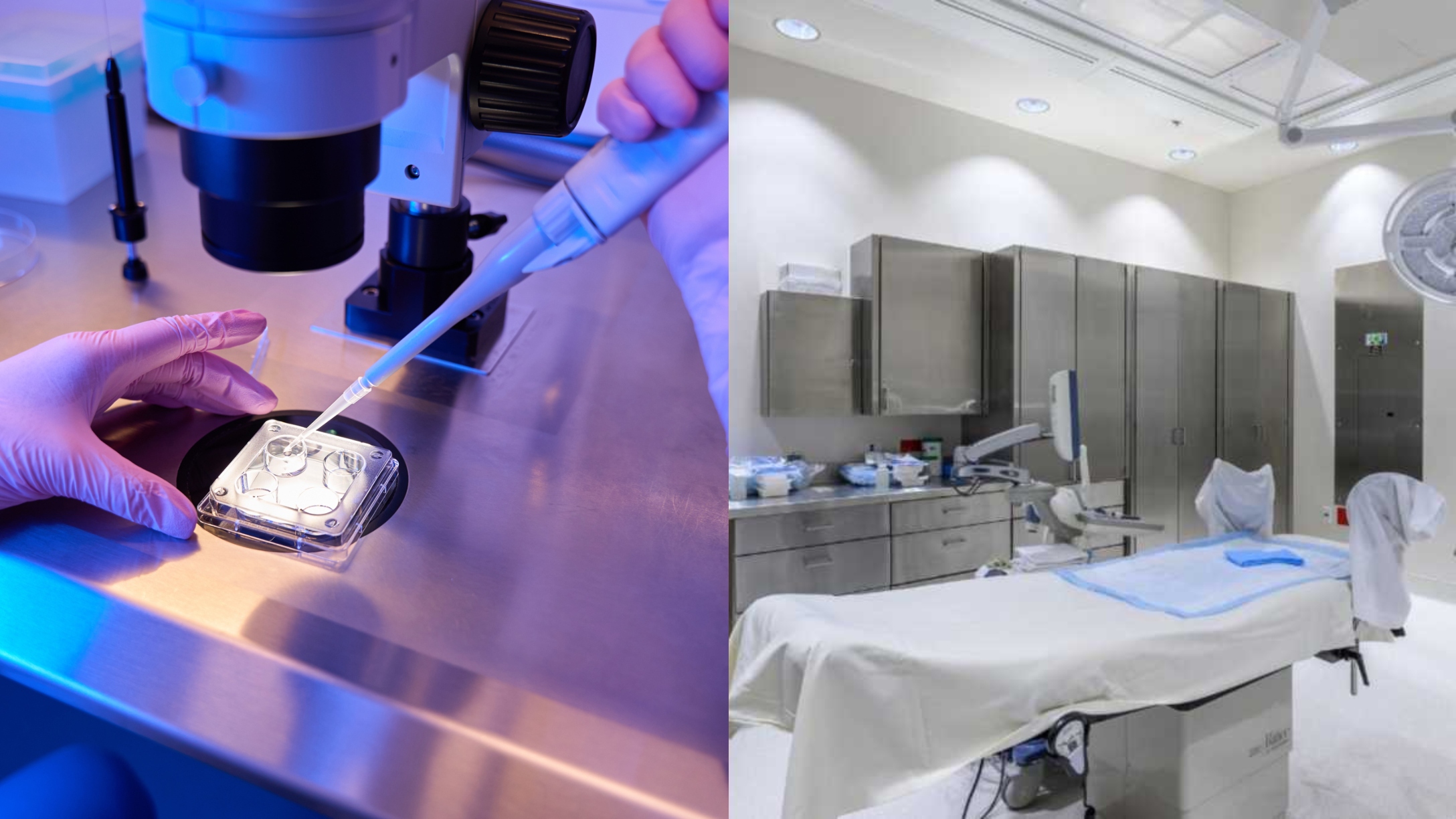Ovation Fertility embryo transfer