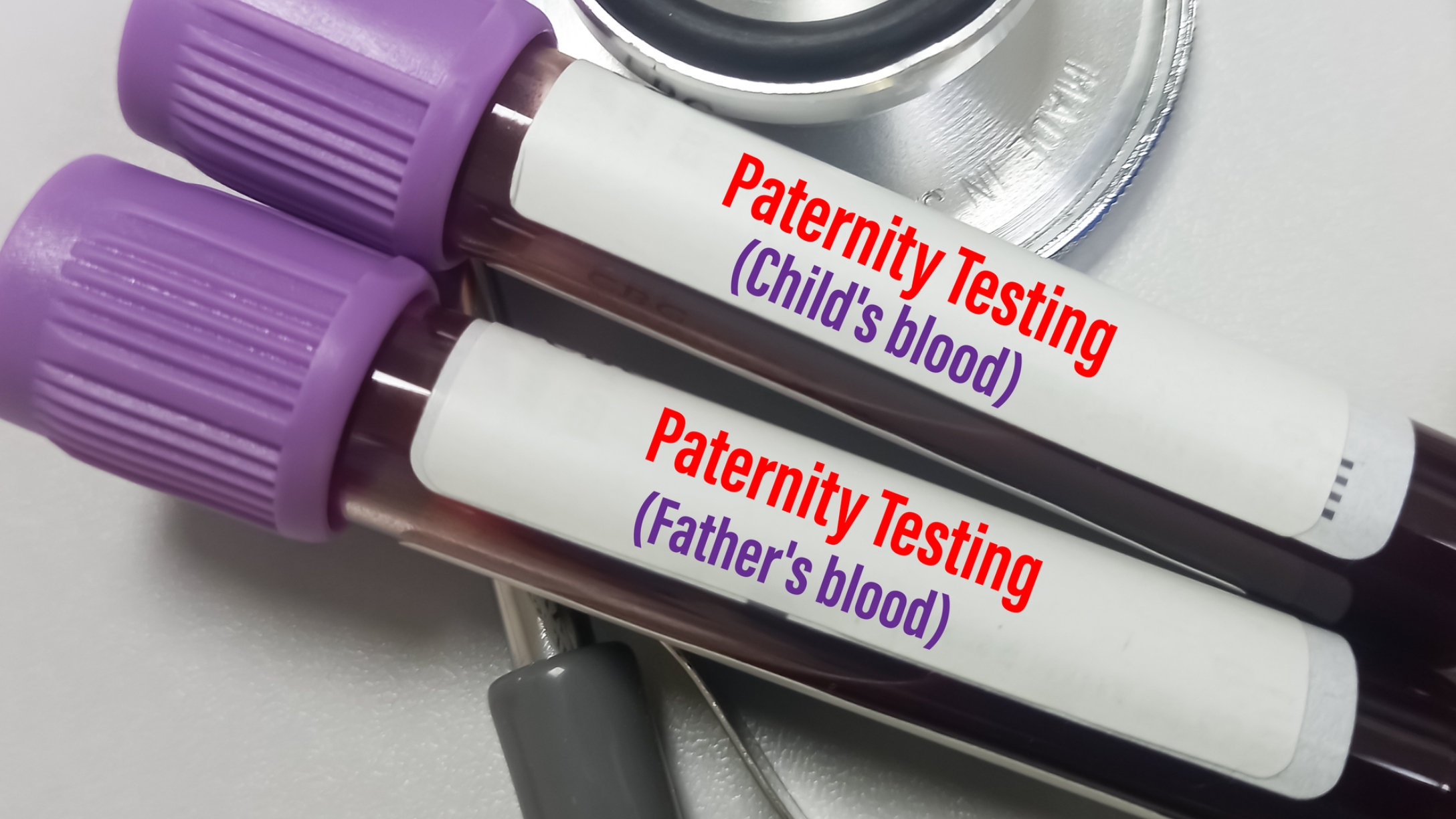 Paternity Test