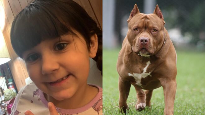Sadie Davila; pit bull