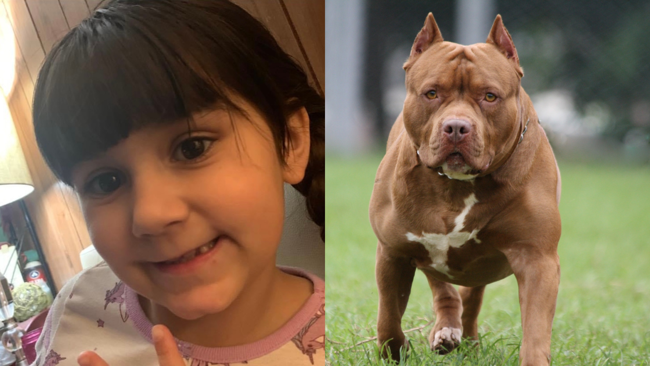 Sadie Davila; pit bull