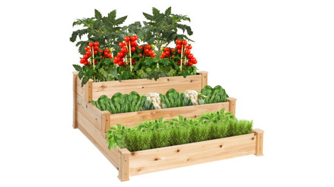 raised garden