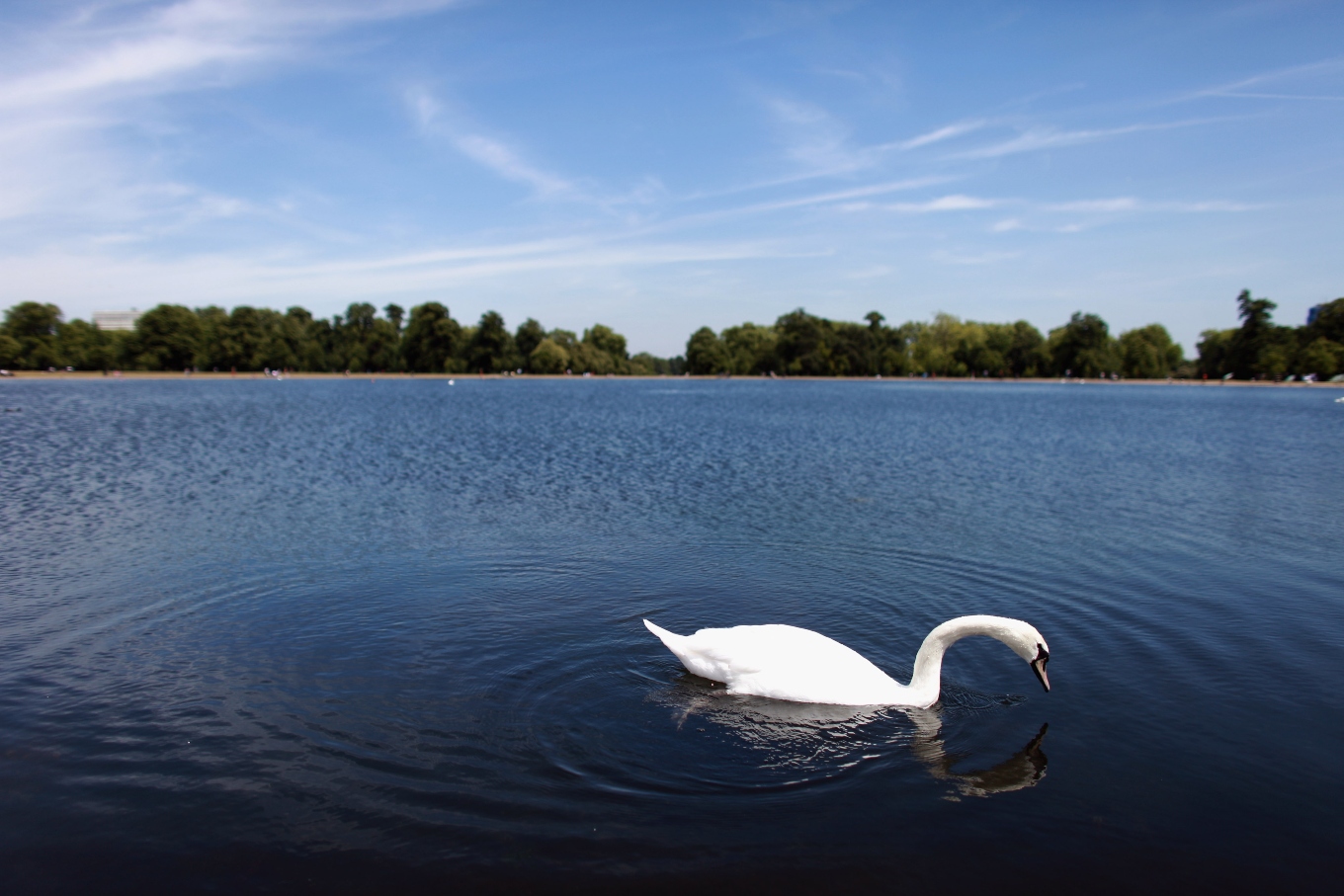 round-pond.jpg