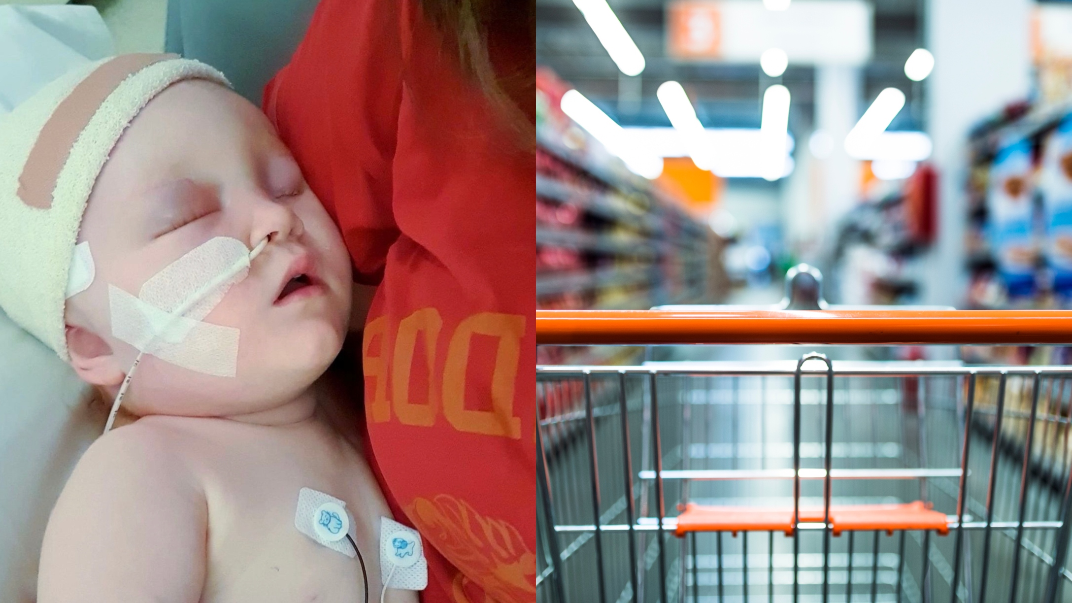 Millie and shopping cart