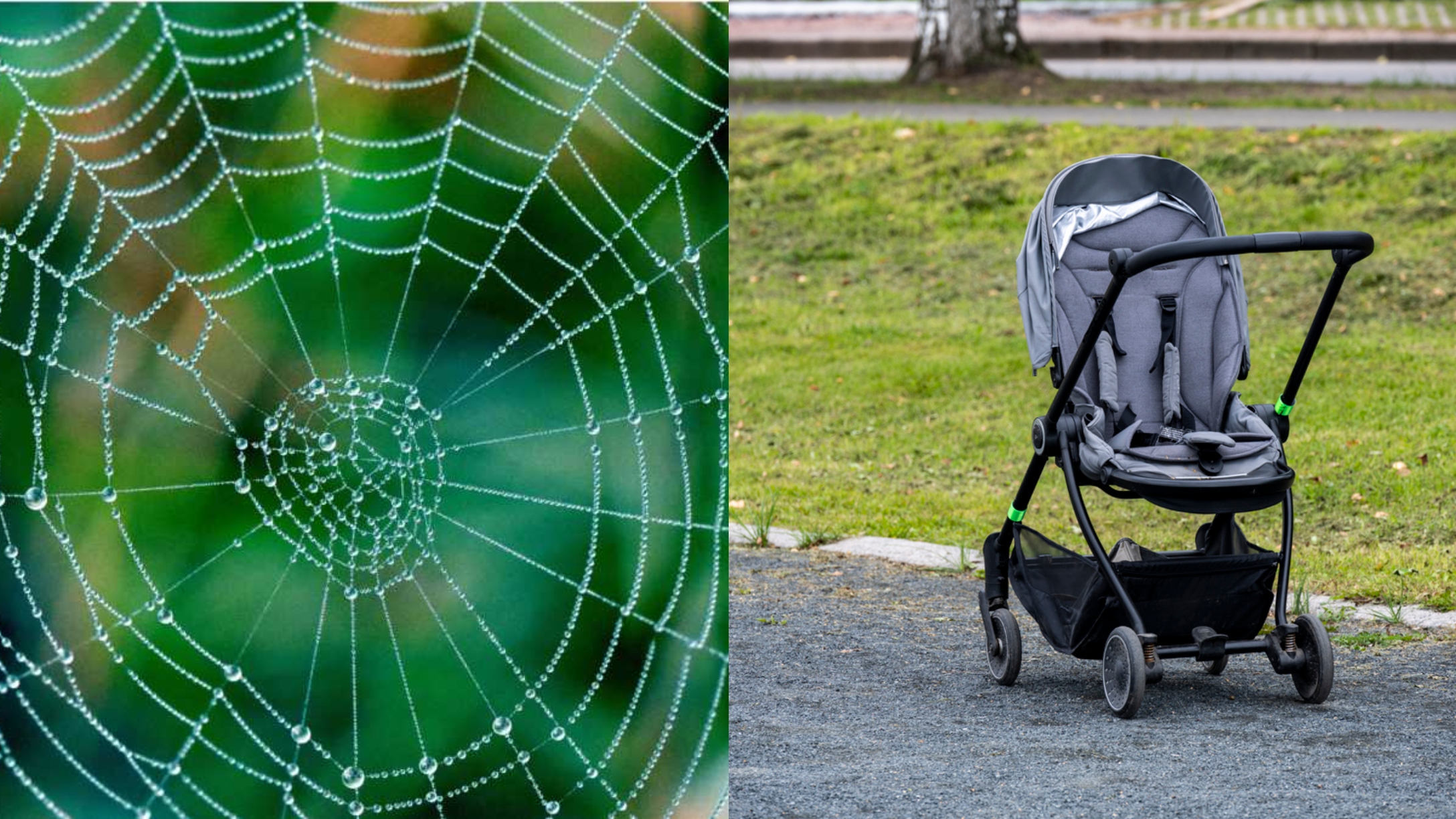 Mom Runs From a Bug and Sends Her Baby in a Stroller Rolling Into the Street