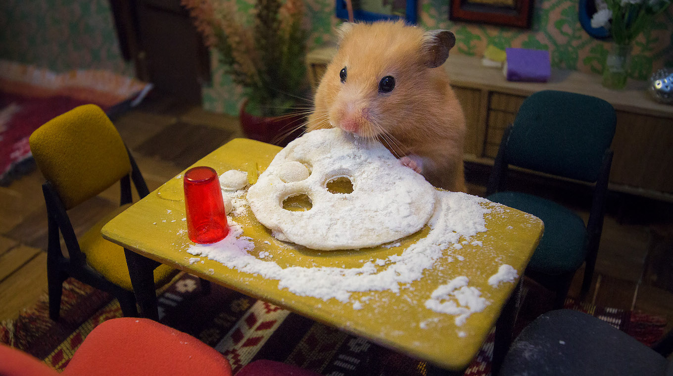 An entire village built just for hamsters.