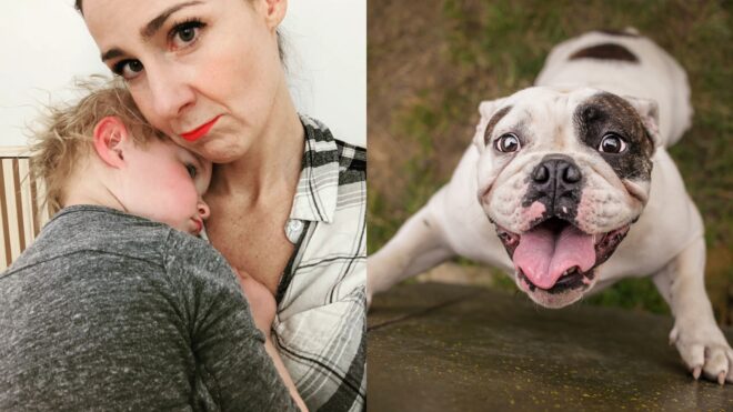 family therapist dog