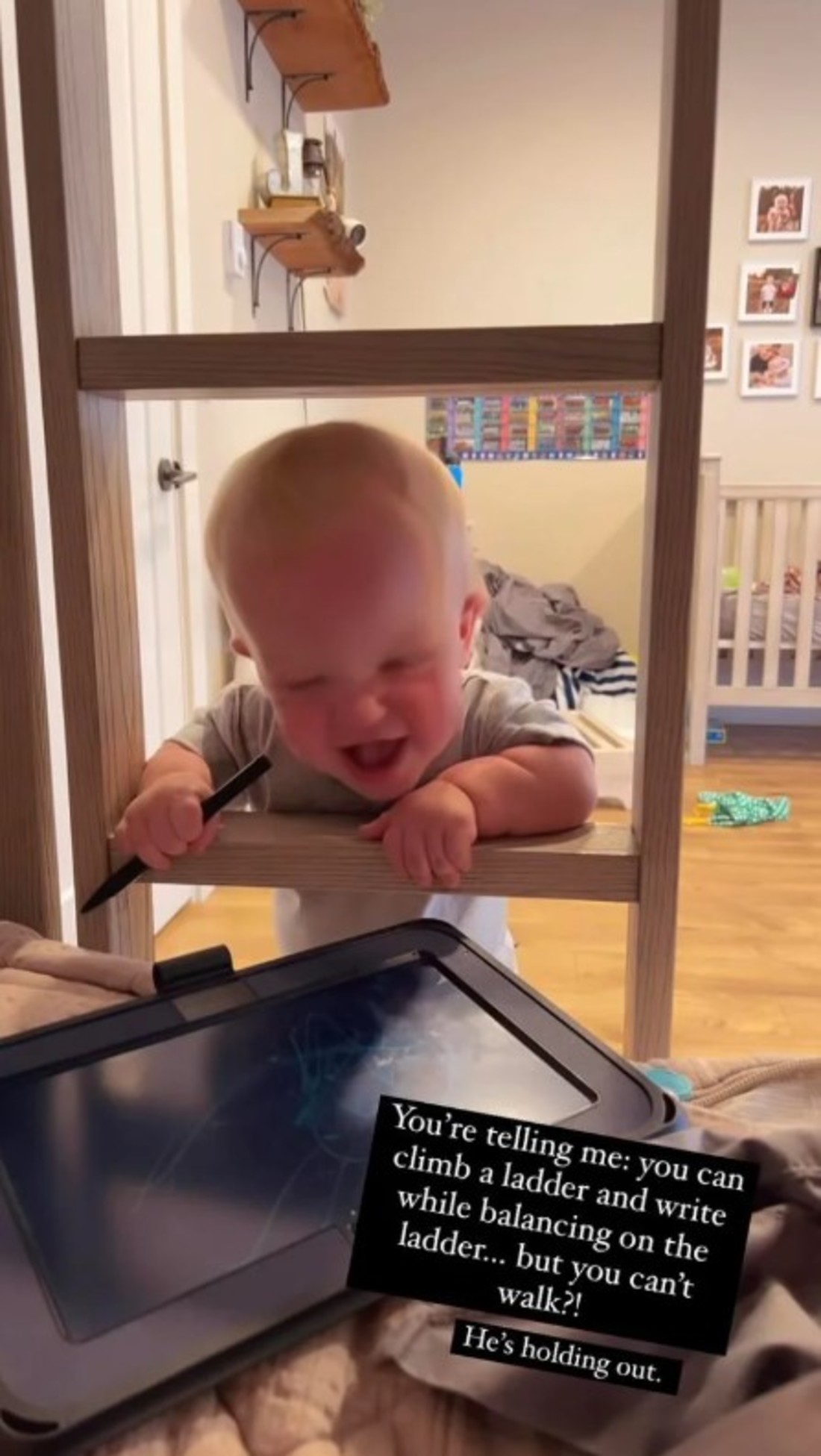 torrr.jpg torrr.jpg