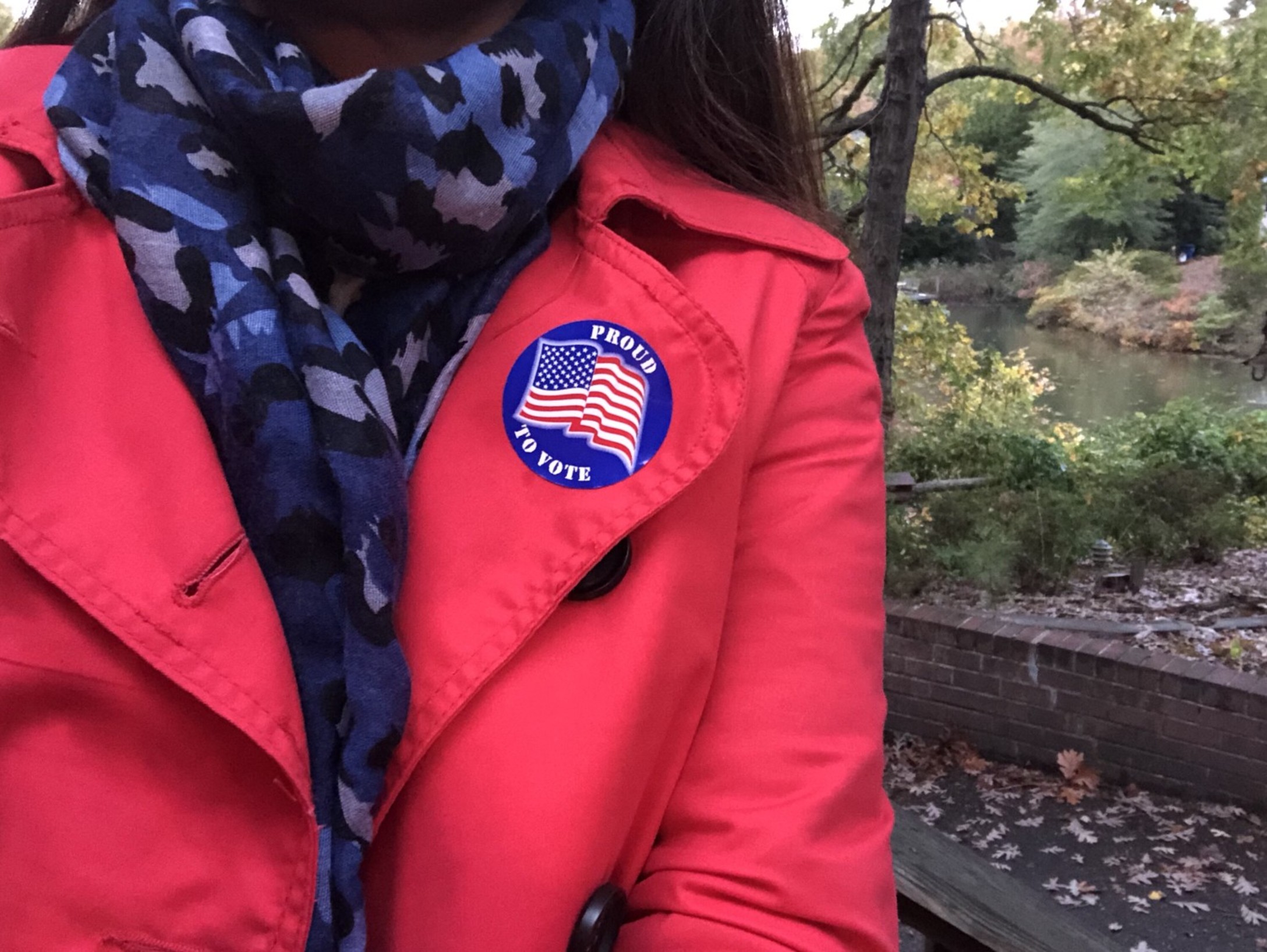 usa-midterm-election-i-voted-it-s-my-right-and-my-duty-politics-elections-government-vote-voting_t20_VLwV2l.jpg