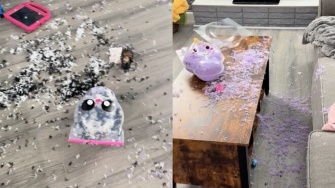 viral toy
