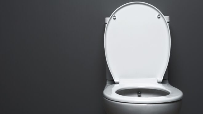 woman arrested toilet