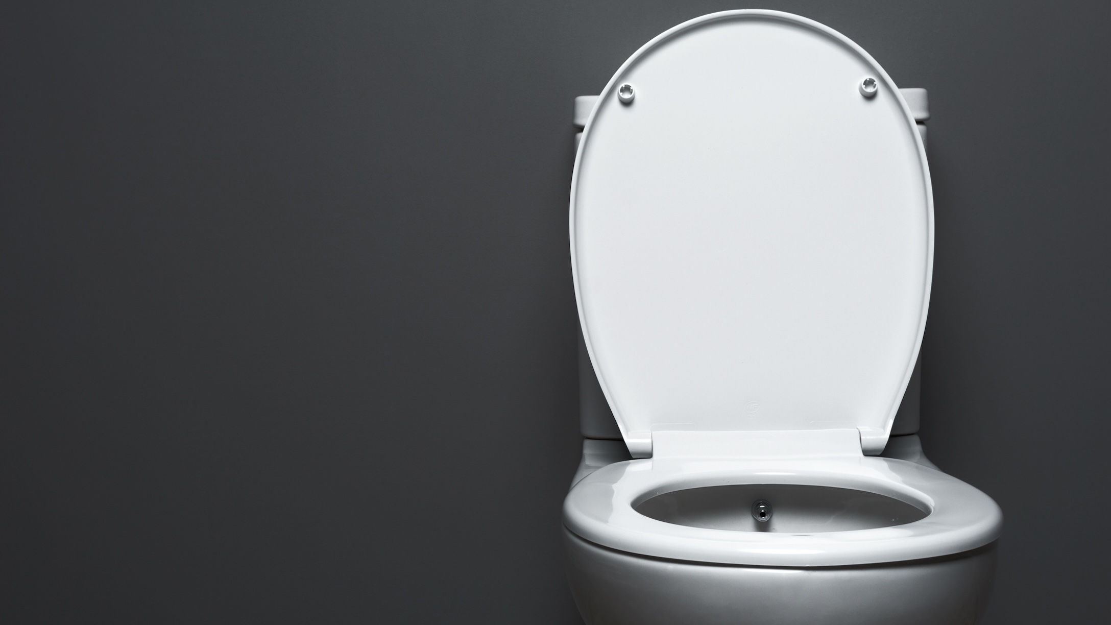 woman arrested toilet