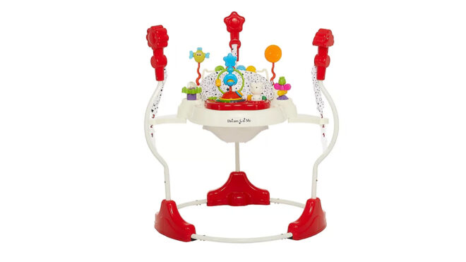 zany bouncer