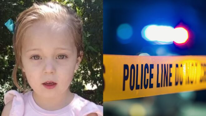 zoey hawkins mauled death pit bull