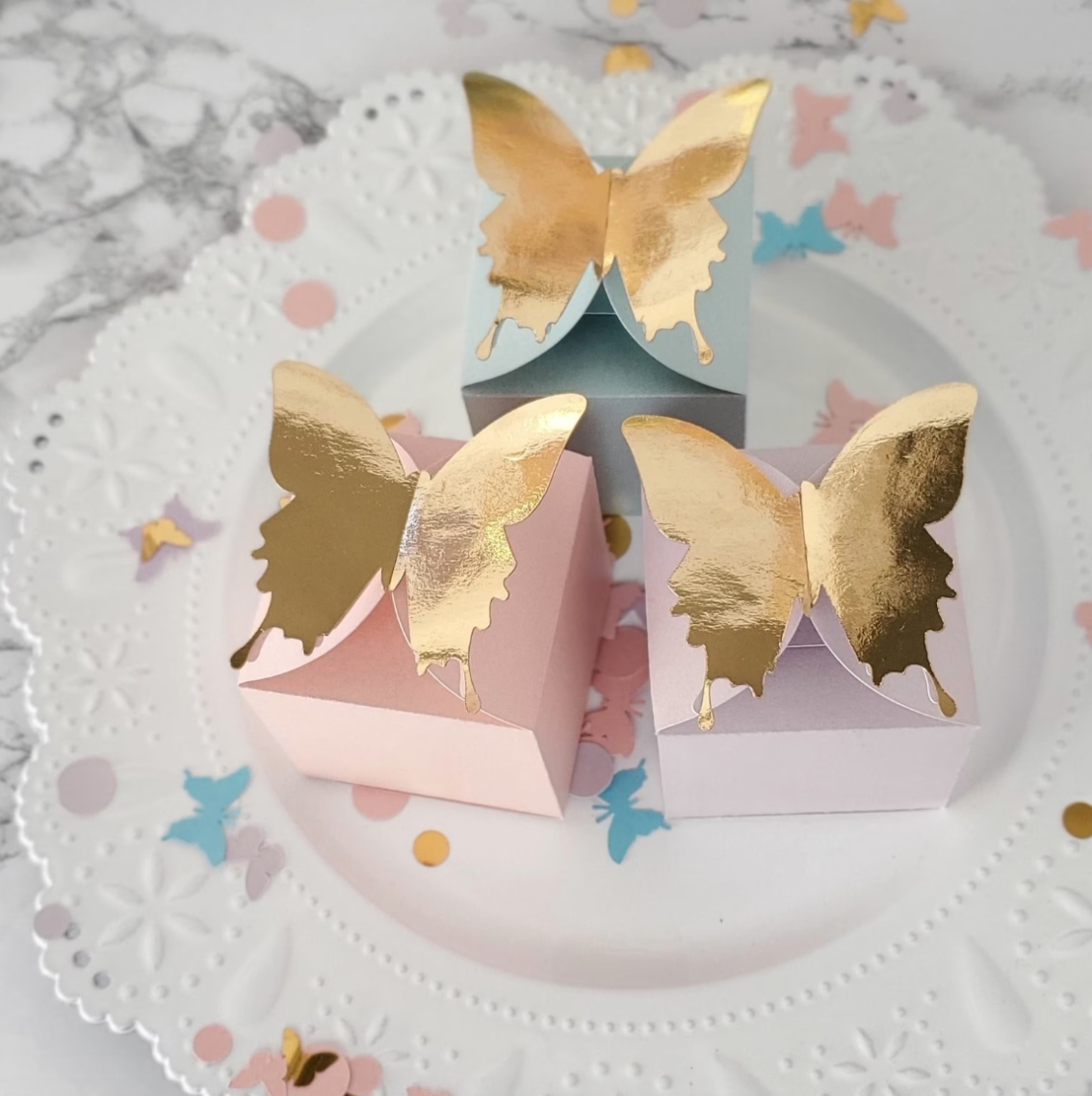 BSI_ButterflyFavorBox.jpg