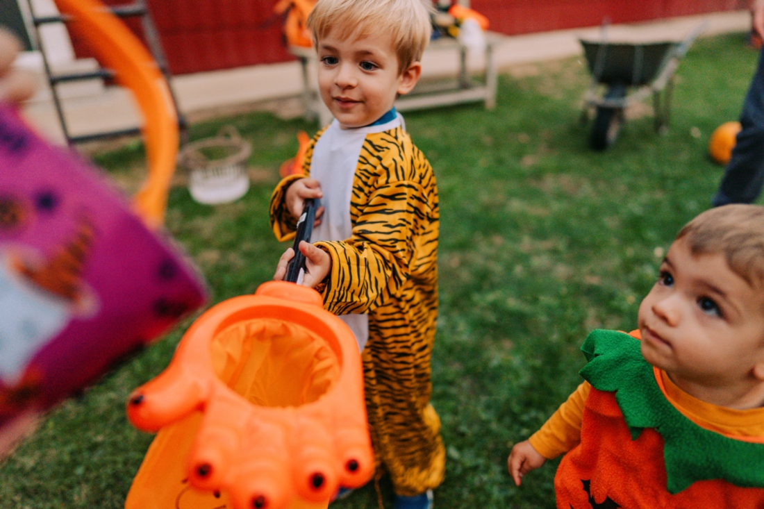iStock-1178641886__1.jpg