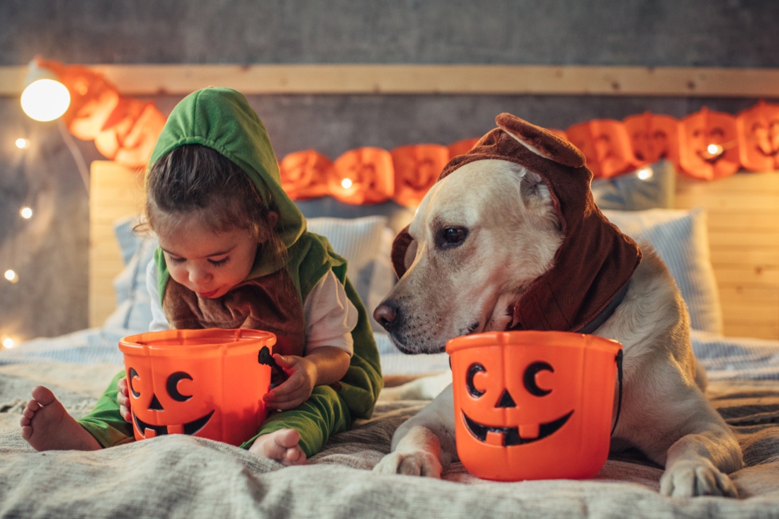 iStock-851942948__1.jpg