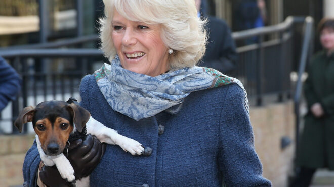 LONDON, ENGLAND - DECEMBER 12: Camilla, Duchess of Cornwall holds up her 3 month old Jack Russell Terrier Beth as she visits Battersea Dog and Cats Home on December 12, 2012 in London, England. The Duchess of Cornwall as patron of Battersea Dog and Cats home visited with her two Jack Russell terriers Beth, a 3 month old who came to Battersea as an unwanted puppy in August 2011 and Bluebell a nine week old stray who was found wandering in a London Park in September 2012. (Photo by Chris Jackson/Getty Images)