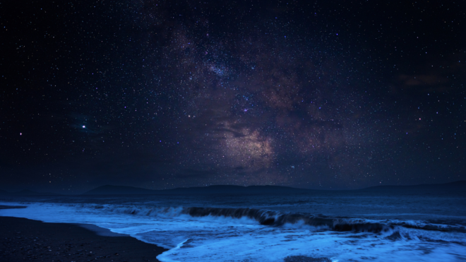 A beach at night