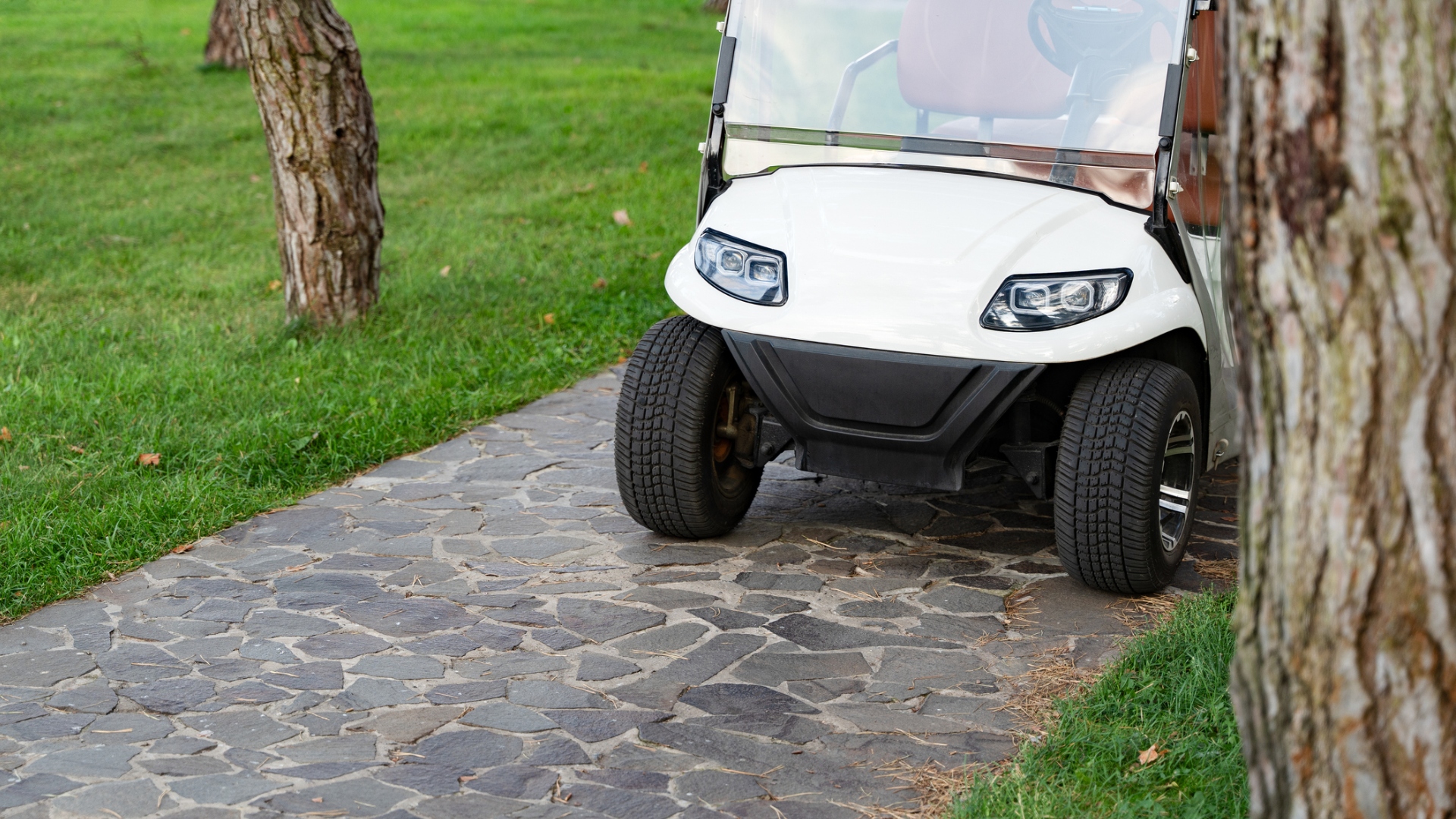 golf cart