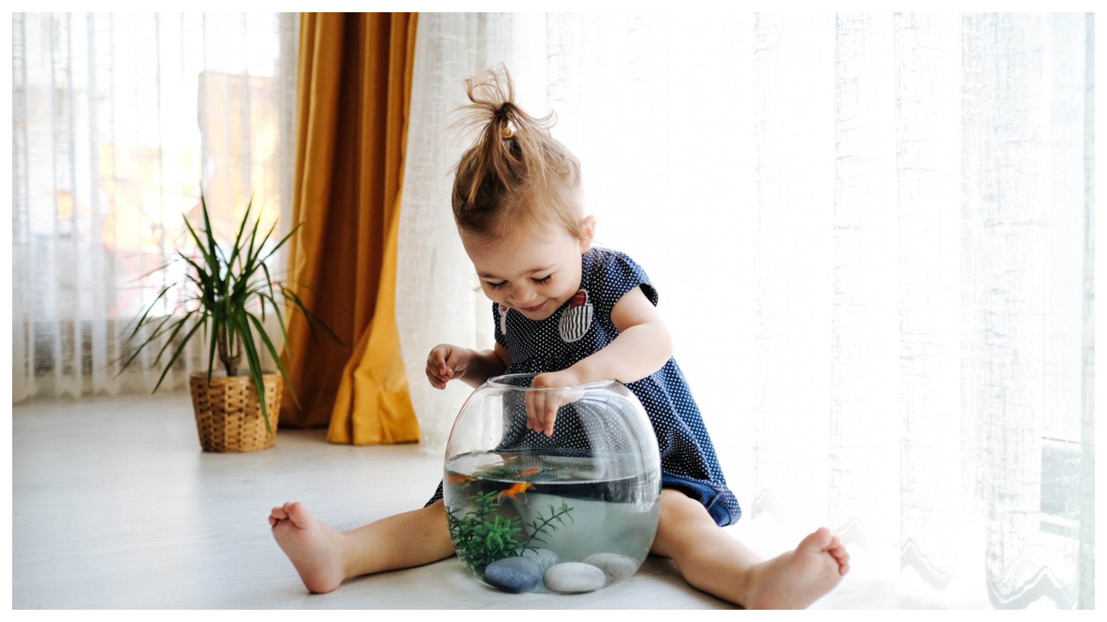 toddler feeding a goldfish in a bowl