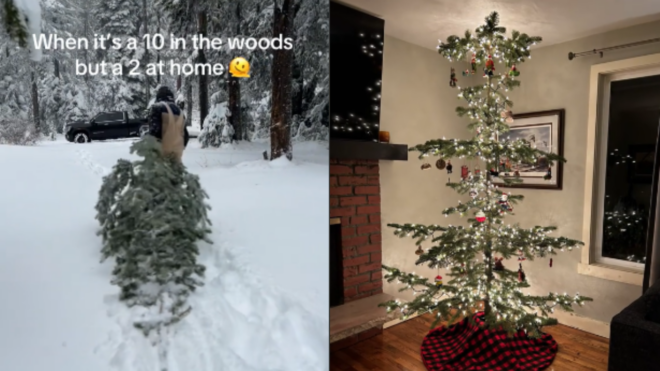 side by side of Christmas tree in forest and decorated