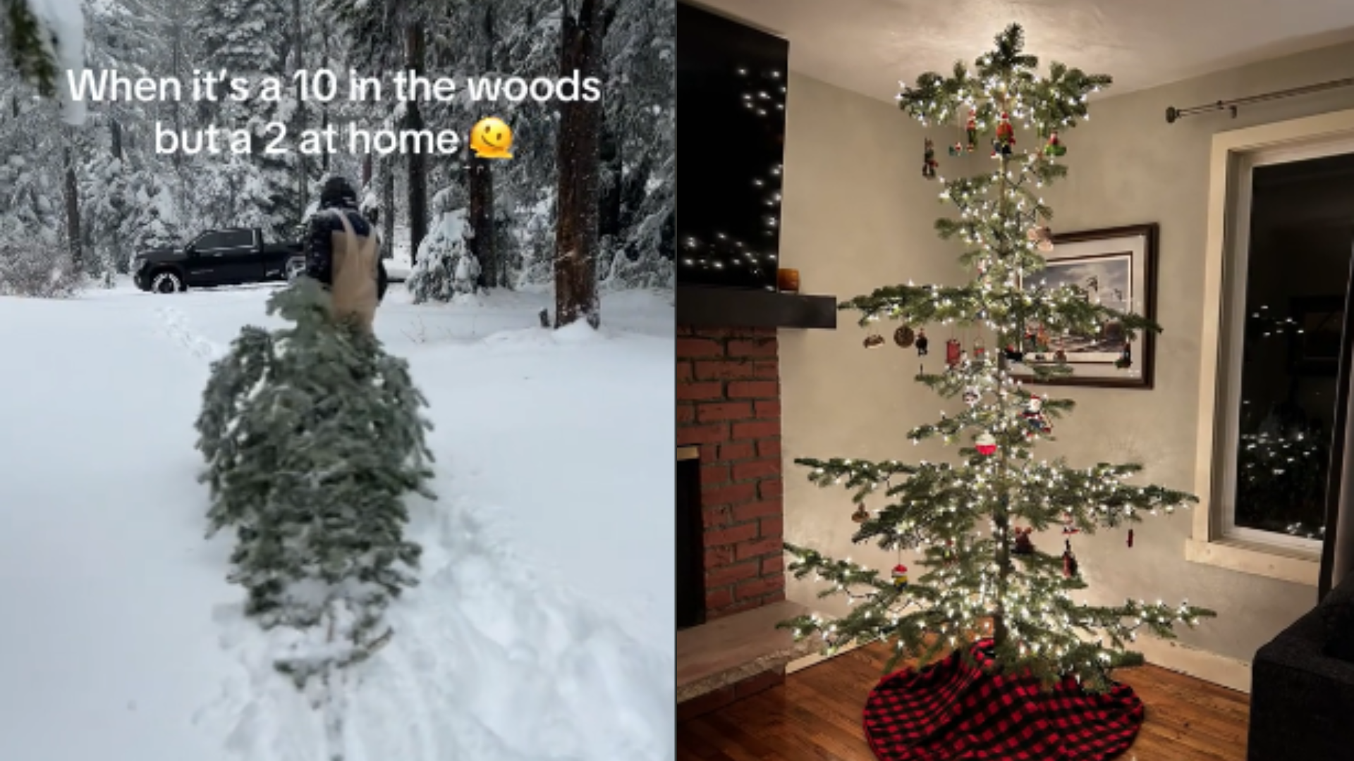 side by side of Christmas tree in forest and decorated