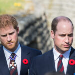 Prince Harry, Prince William