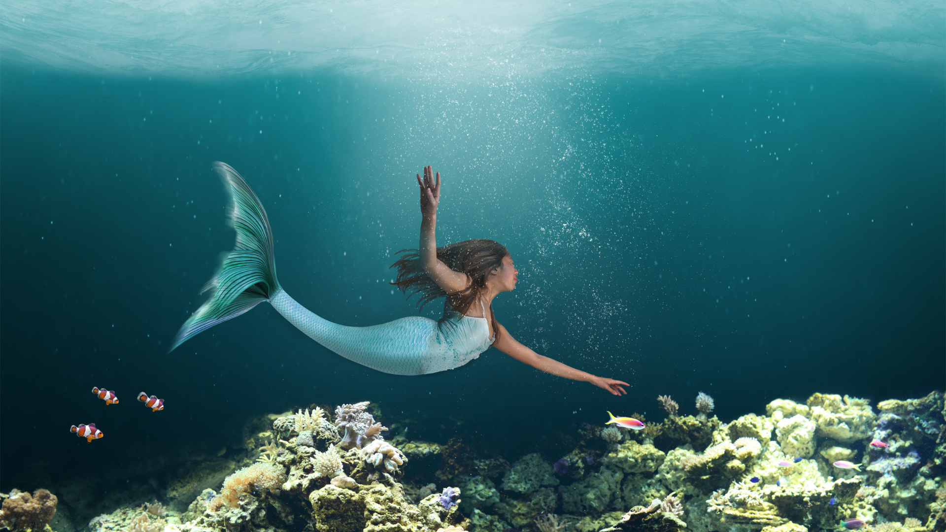 fish attacks mermaid