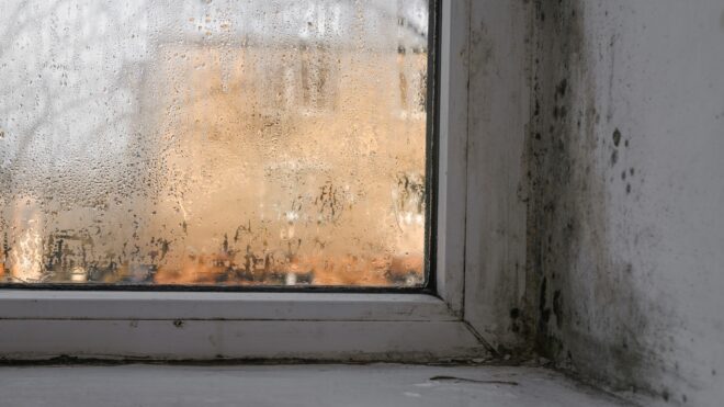 moldy window