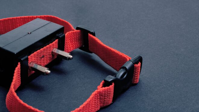 Red collar with electric shock for a dog on black background, copy space