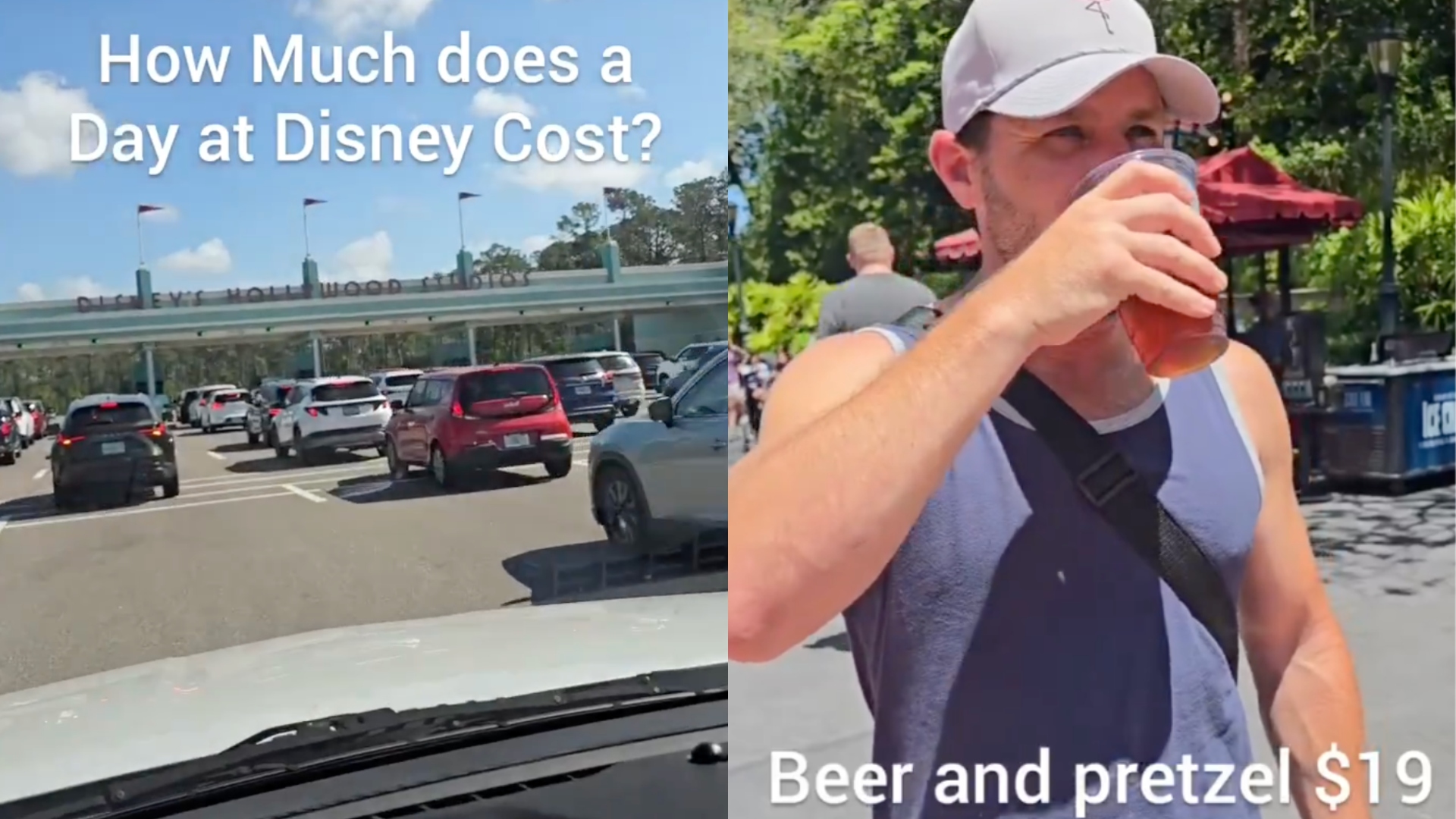 disney world cost viral video