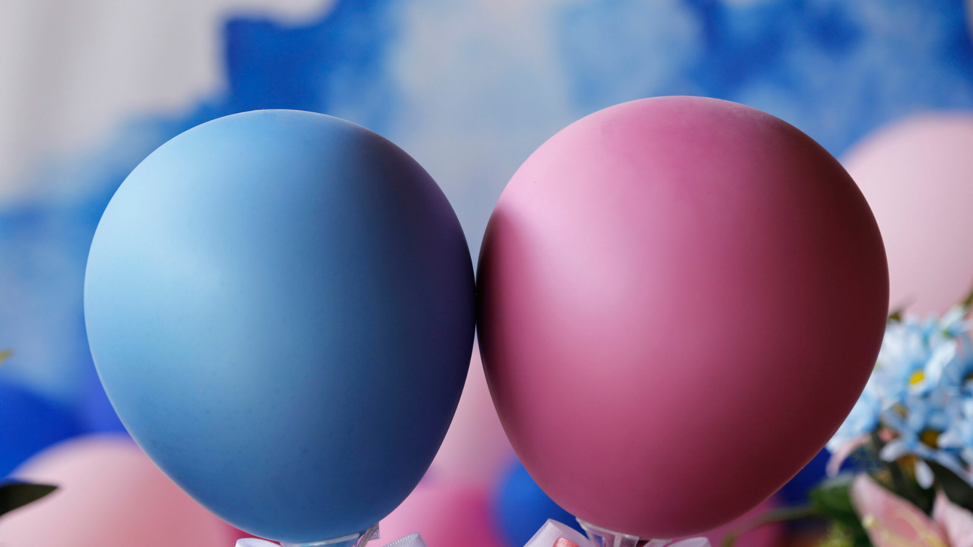 closeup of blue and pink balloons against a tea party background