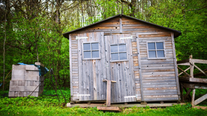 weathered wooden shed among trees