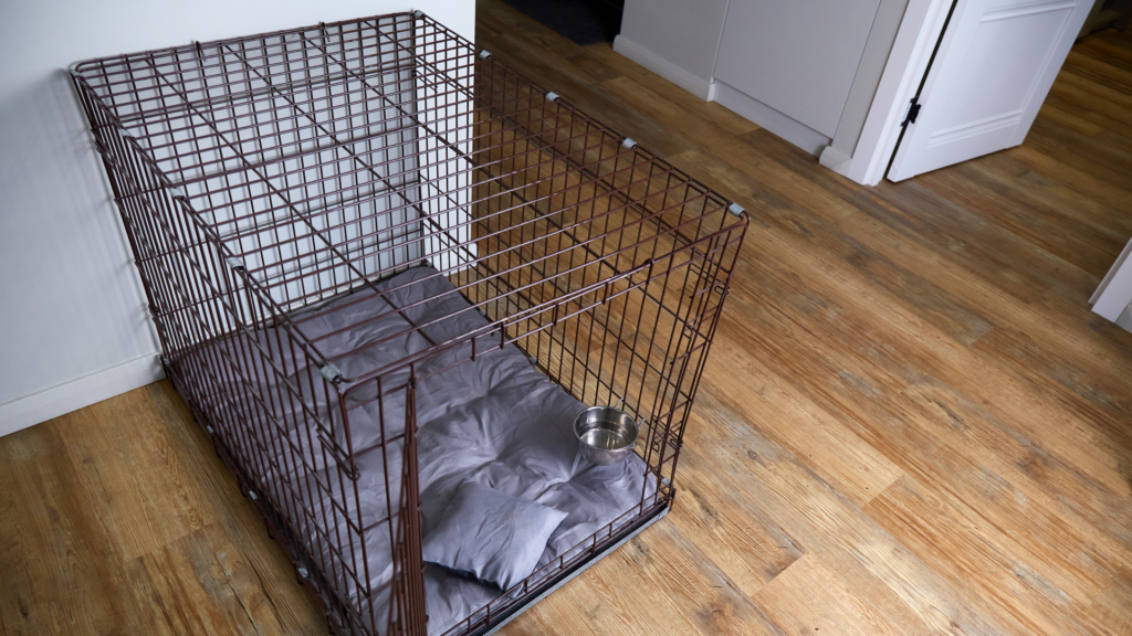 8- & 10-Year-Old Rescued After Telling DHS Worker Grandma Locked Them in Dog Cage, Drugged Them