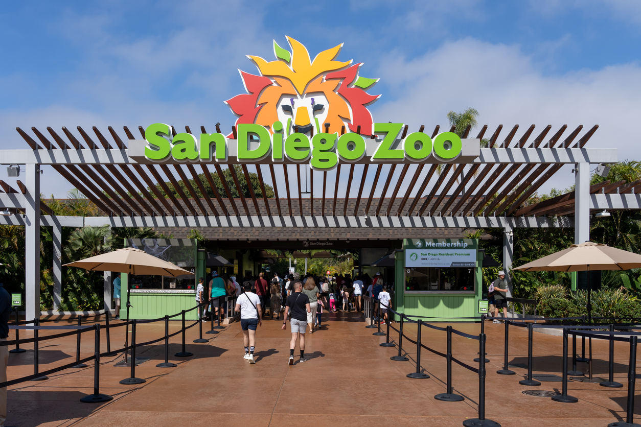 san diego zoo